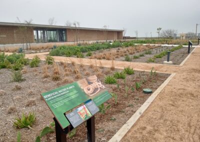 South Texas EcoTourism Center - Native Plants