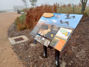 South Texas EcoTourism Center - Coastal Prairie - Fog