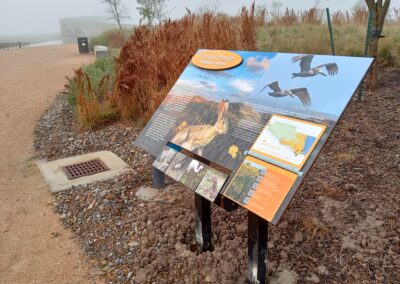 South Texas EcoTourism Center - Coastal Prairie - Fog