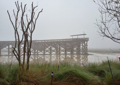 South Texas EcoTourism Center - Land Bridge morning fog