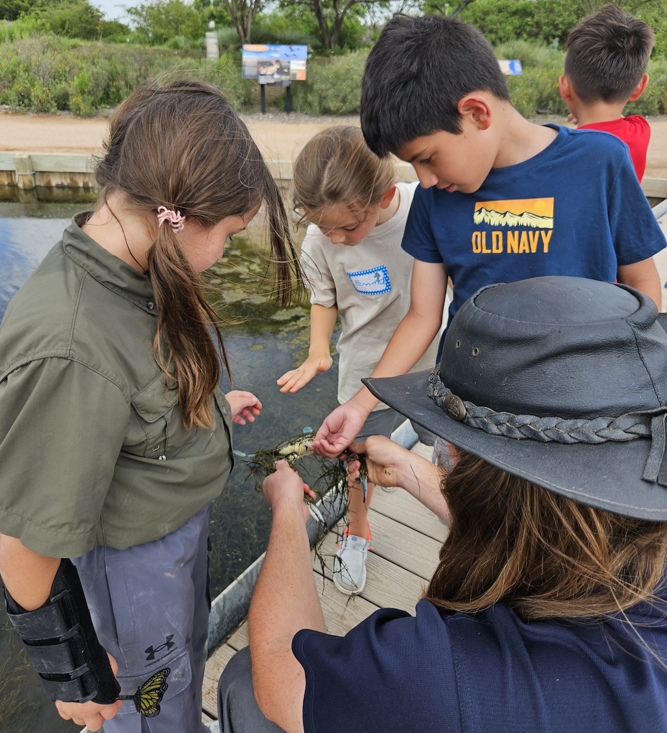 Summer Camp week 2 pond life 1