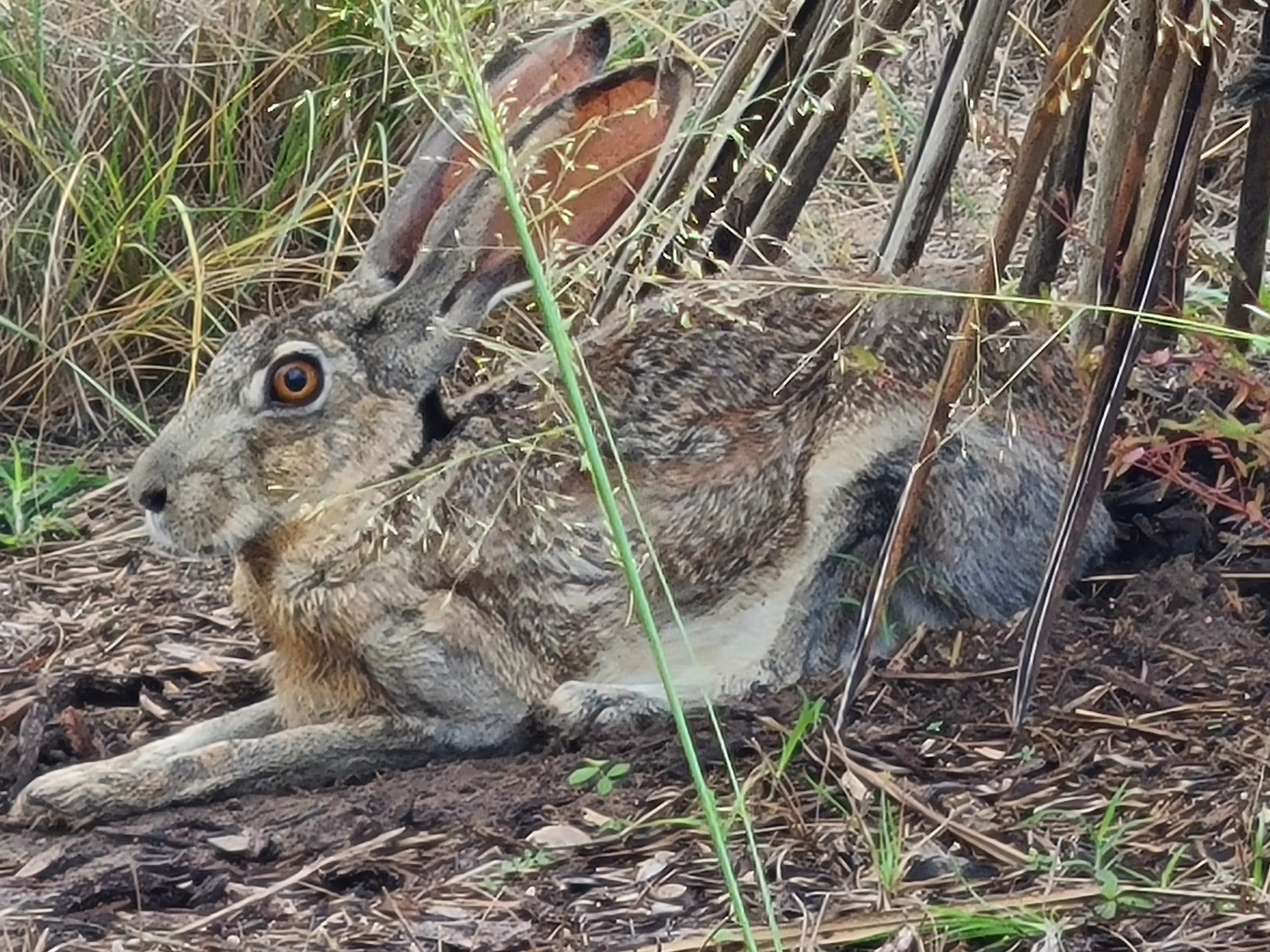 Summer camp fishing lessson 3